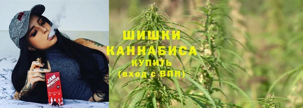 стаф Богородицк
