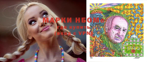 стаф Богородицк
