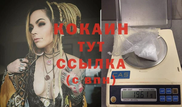 стаф Бородино