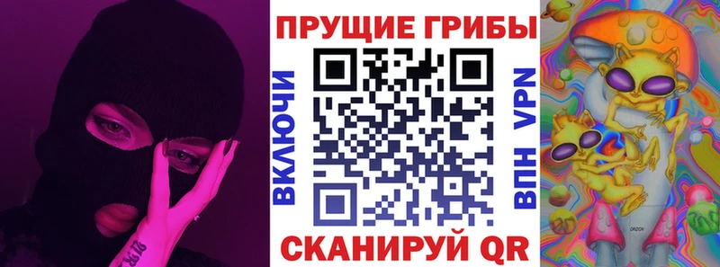 Псилоцибиновые грибы мицелий купить Кировск